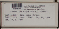 Image Associated With the Occurence